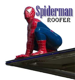 Spiderman Roofer